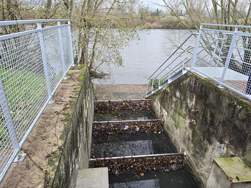 Piège à déchets